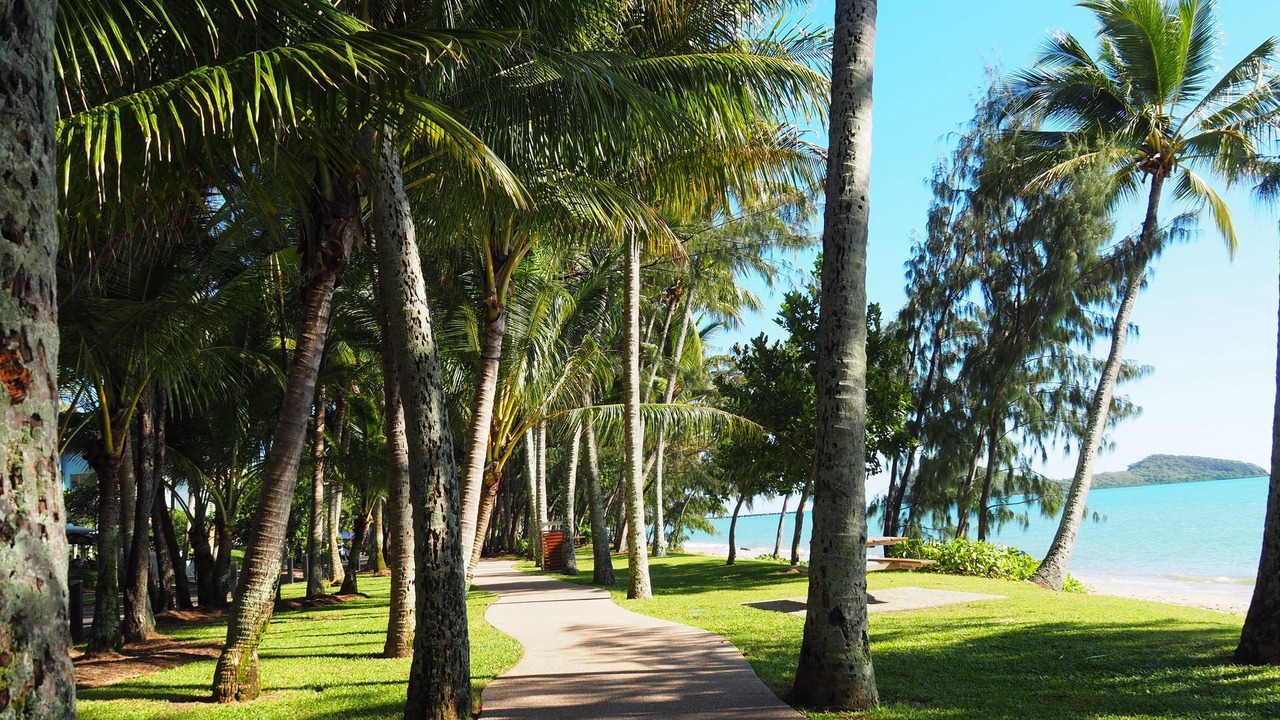 Photo of Outdoor in Palm Cove