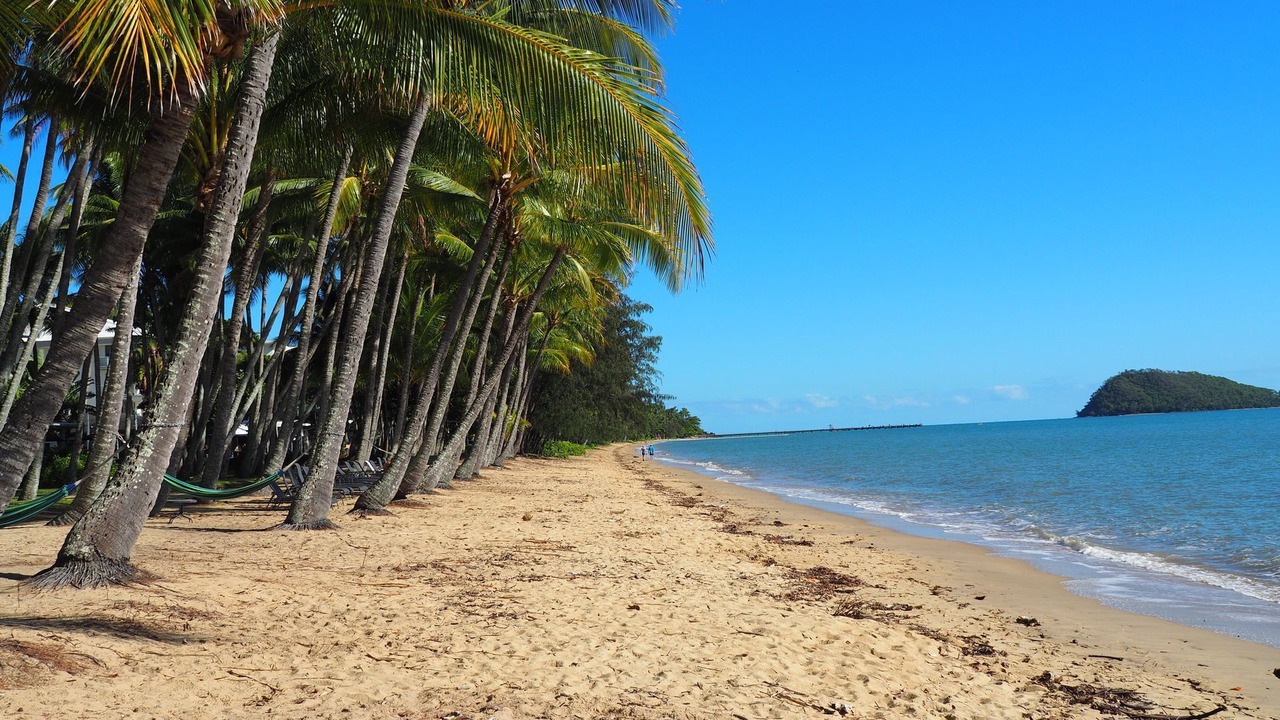 Photo of Others in Palm Cove