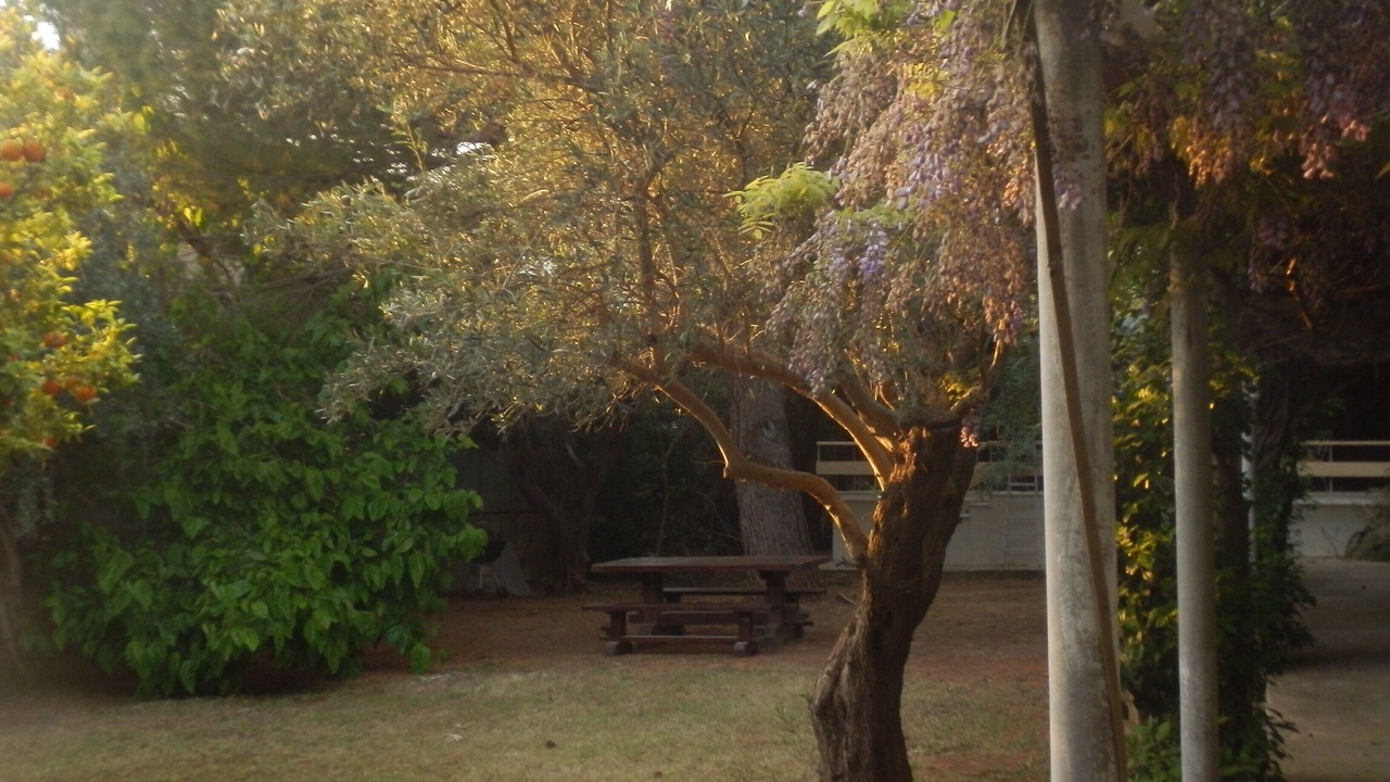 Photo of Outdoor in Vari-Voula-Vouliagmeni