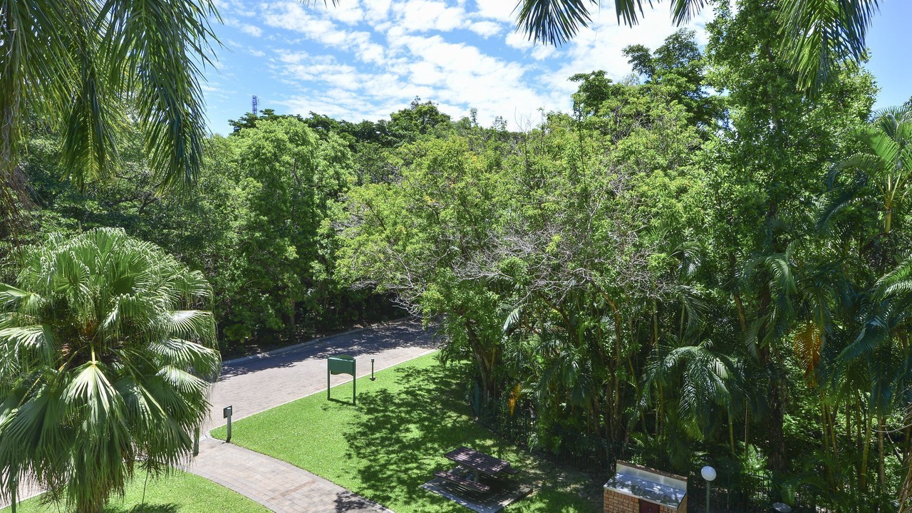 Photo of Outdoor in Palm Cove