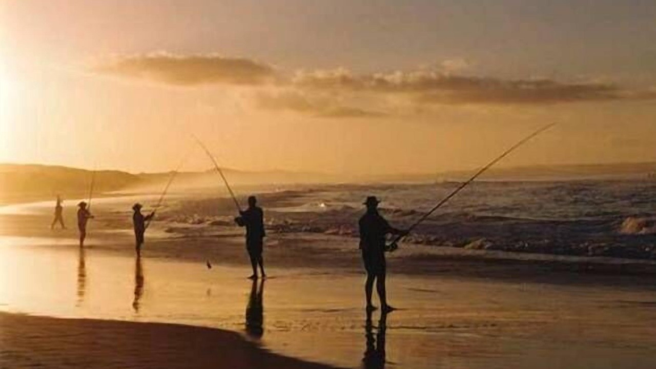 Photo of Others in Orchid Beach