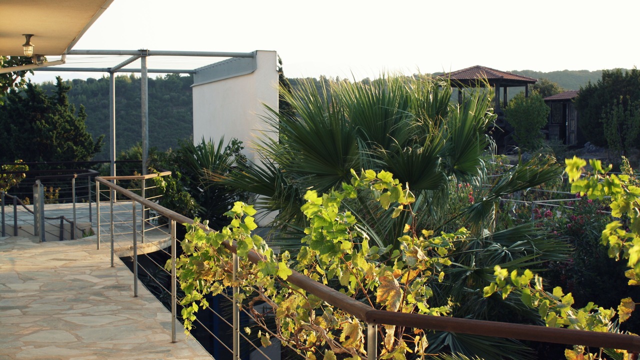 Photo of Outdoor in Dorida