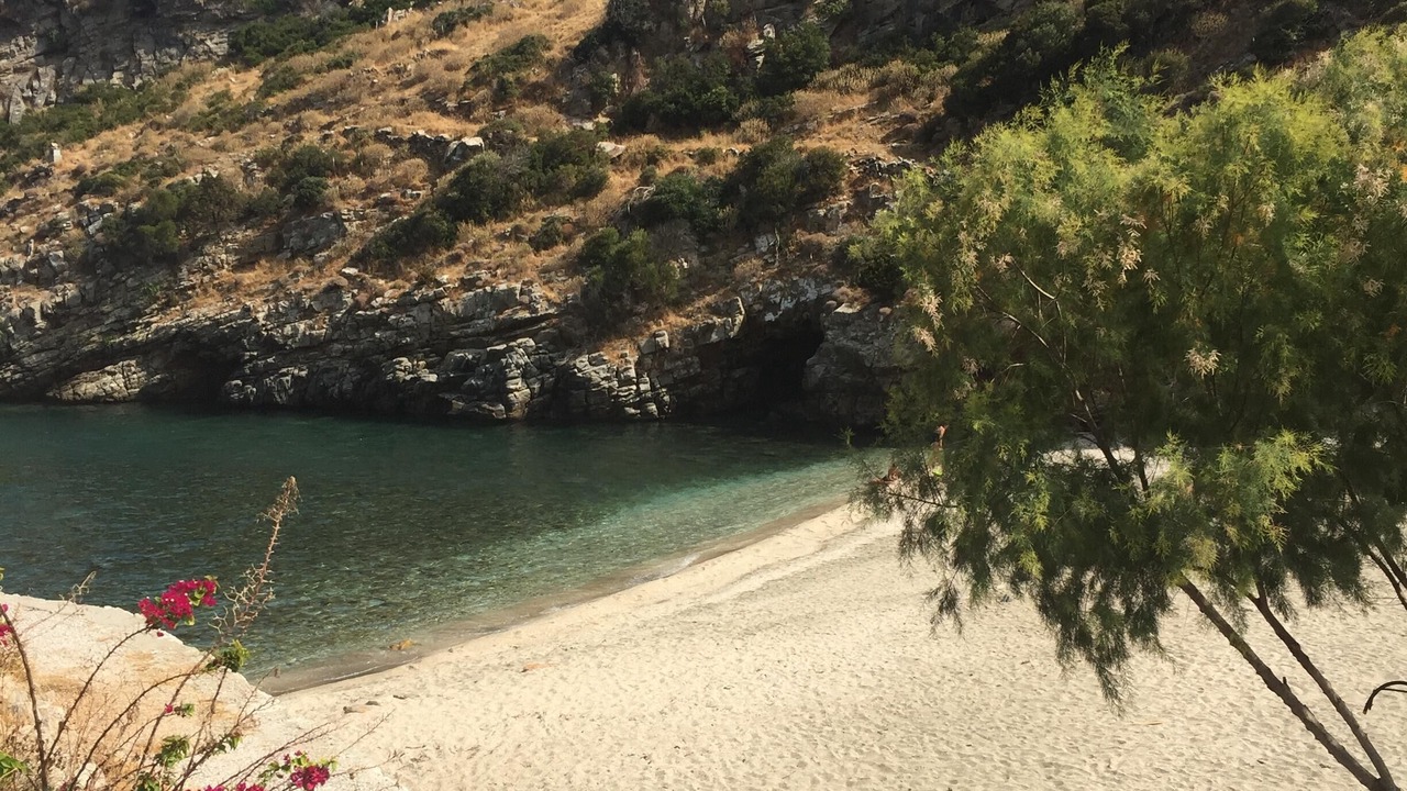 Photo of Others in Karystos