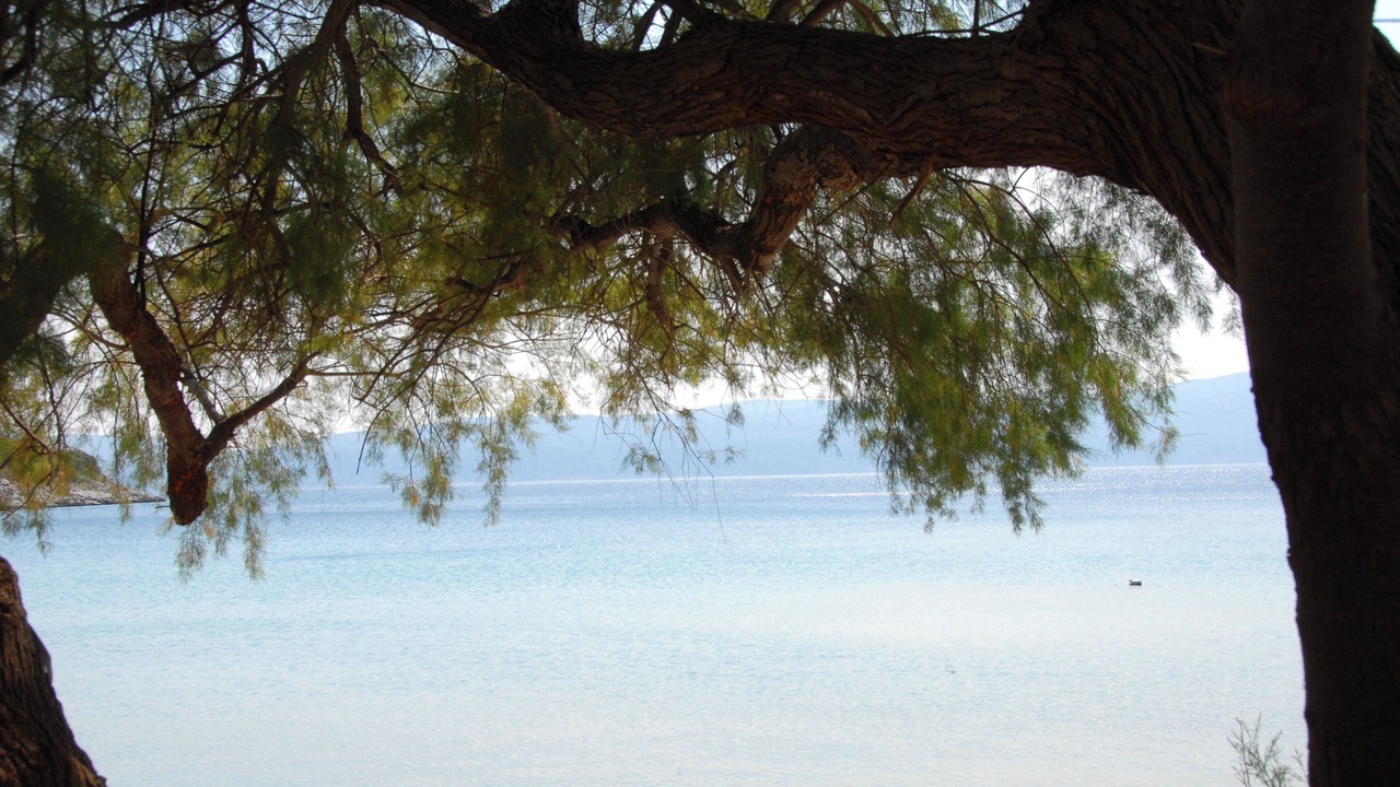 Photo of Others in Kymi-Aliveri