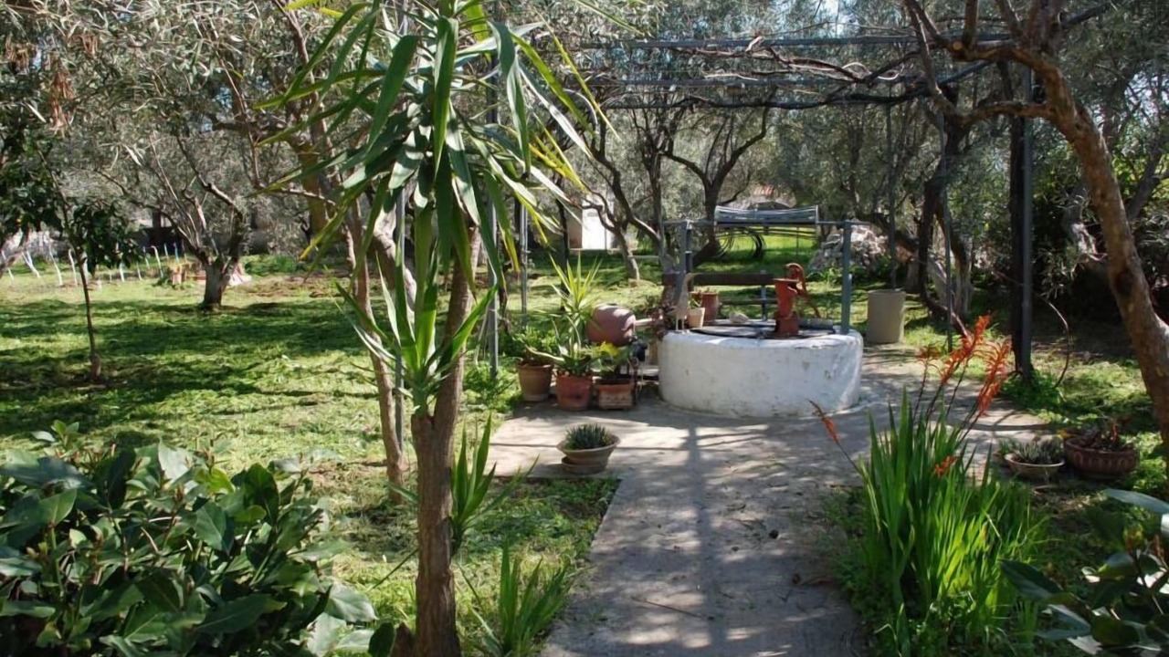 Photo of Outdoor in Eretria