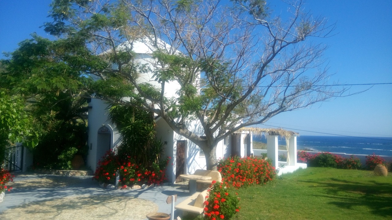 Photo of Outdoor in Skiros