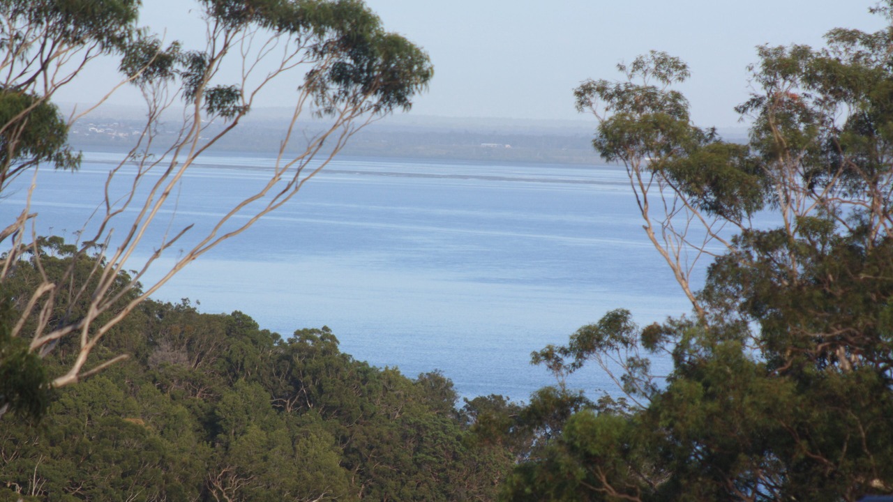 Photo of Others in Kingfisher Bay