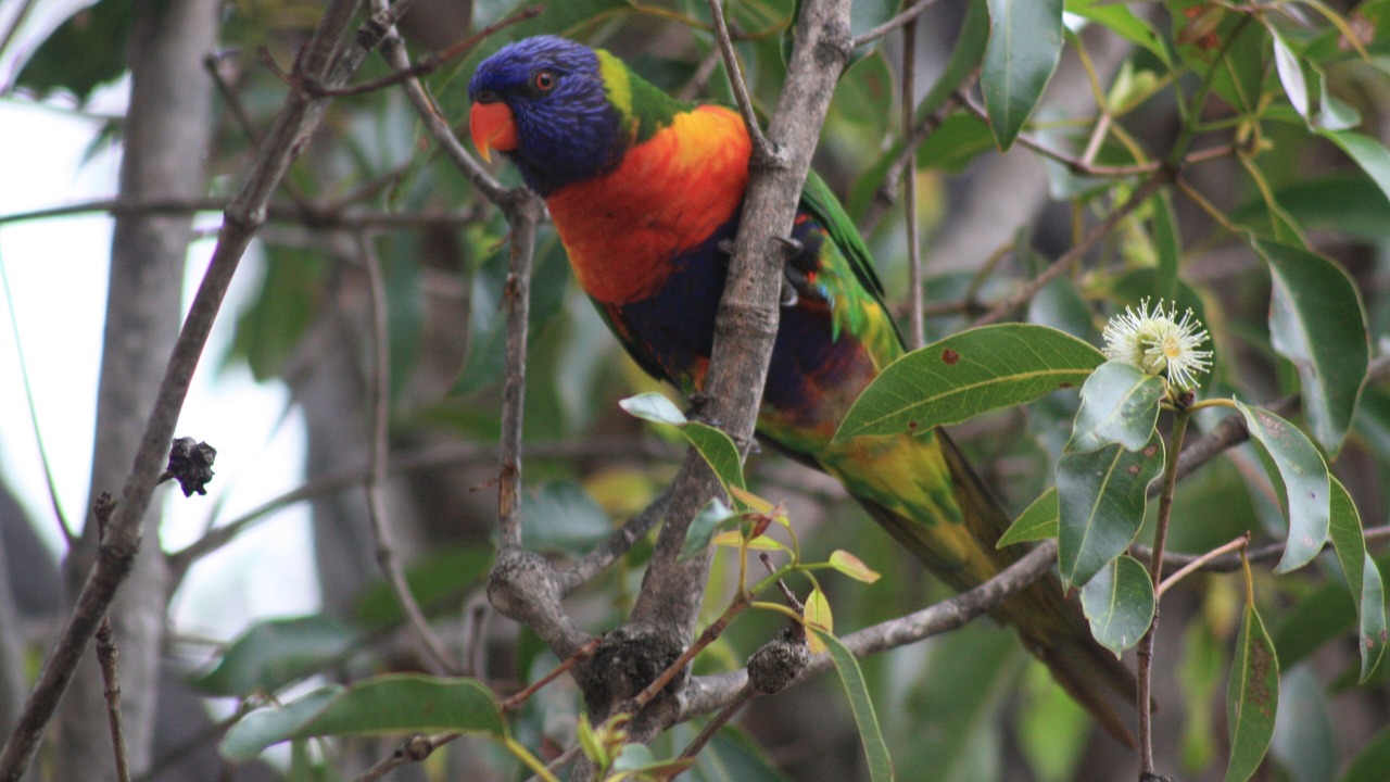 Photo of Others in Kingfisher Bay