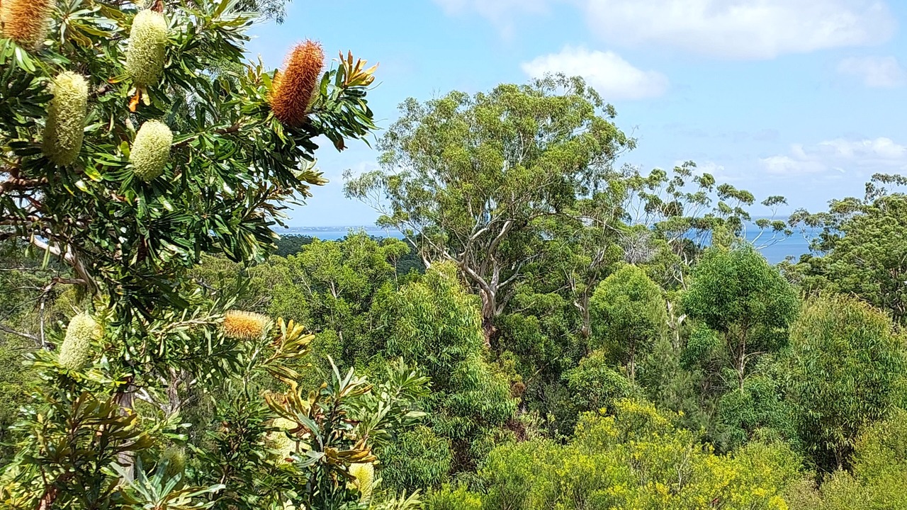 Photo of Others in Kingfisher Bay