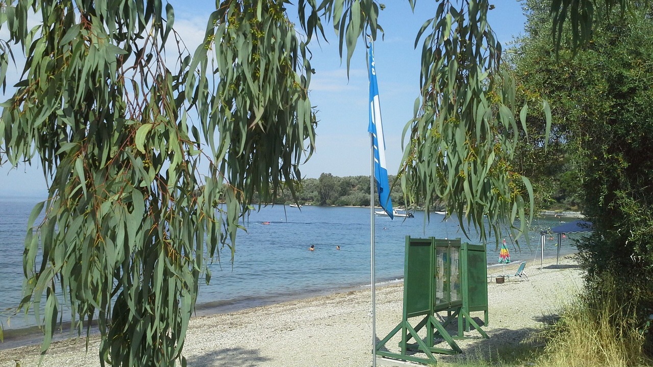 Photo of Others in Afissos