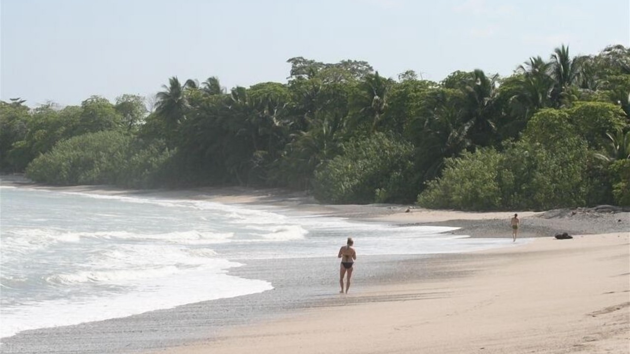 Photo of Others in Central Pacific Coast