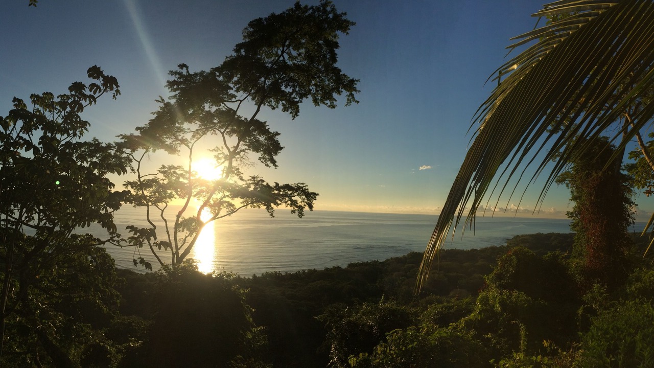 Photo of Others in Central Pacific Coast