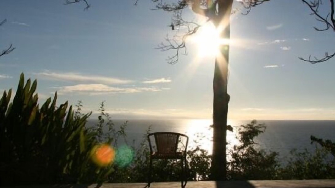 Photo of Others in Central Pacific Coast