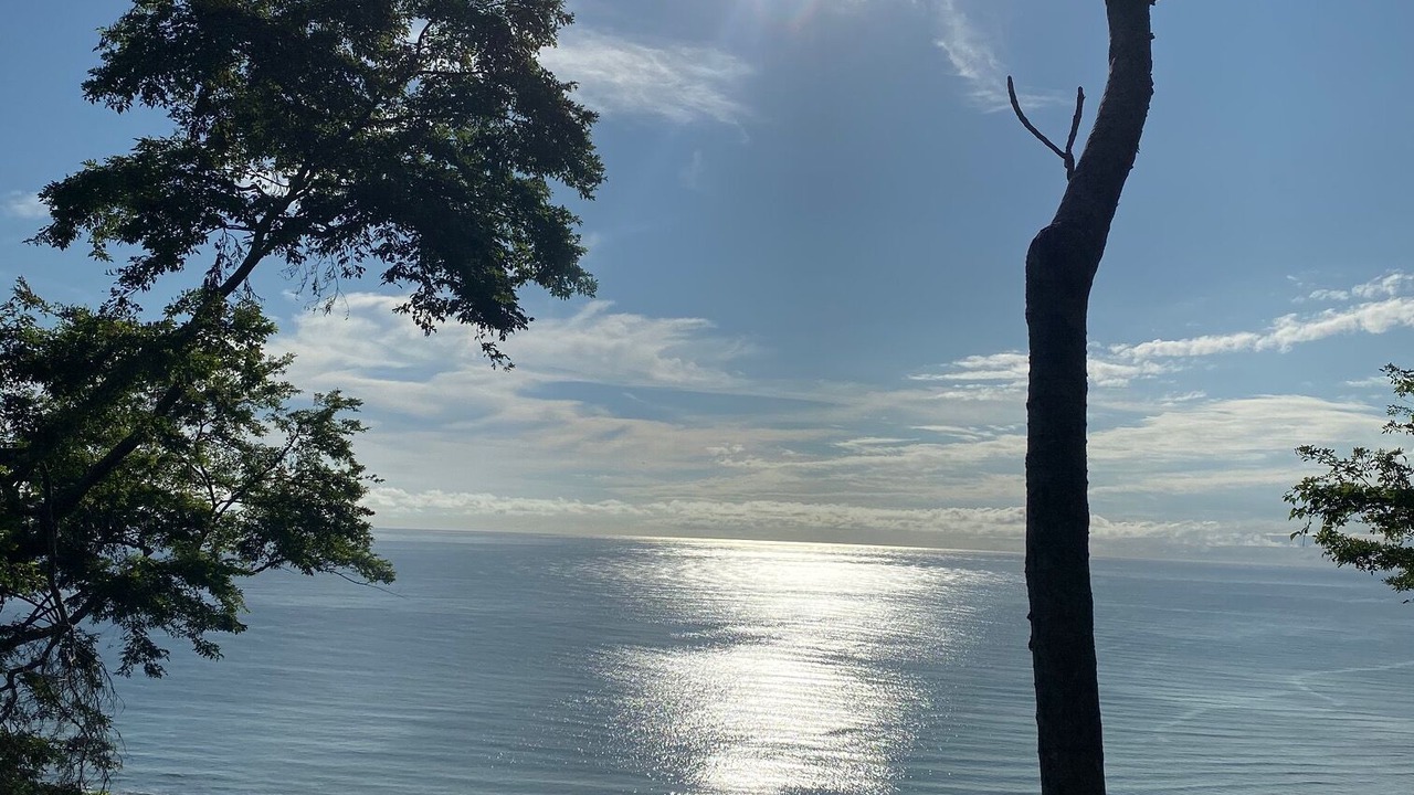 Photo of Others in Central Pacific Coast