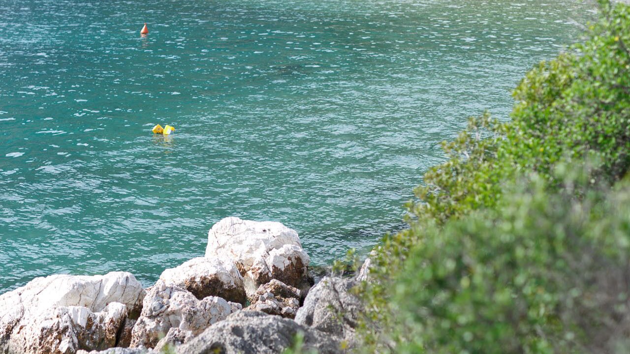 Photo of Others in Arkadiko Chorio