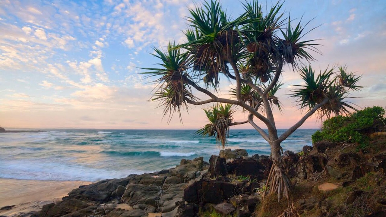 Photo of Others in Coolum Beach