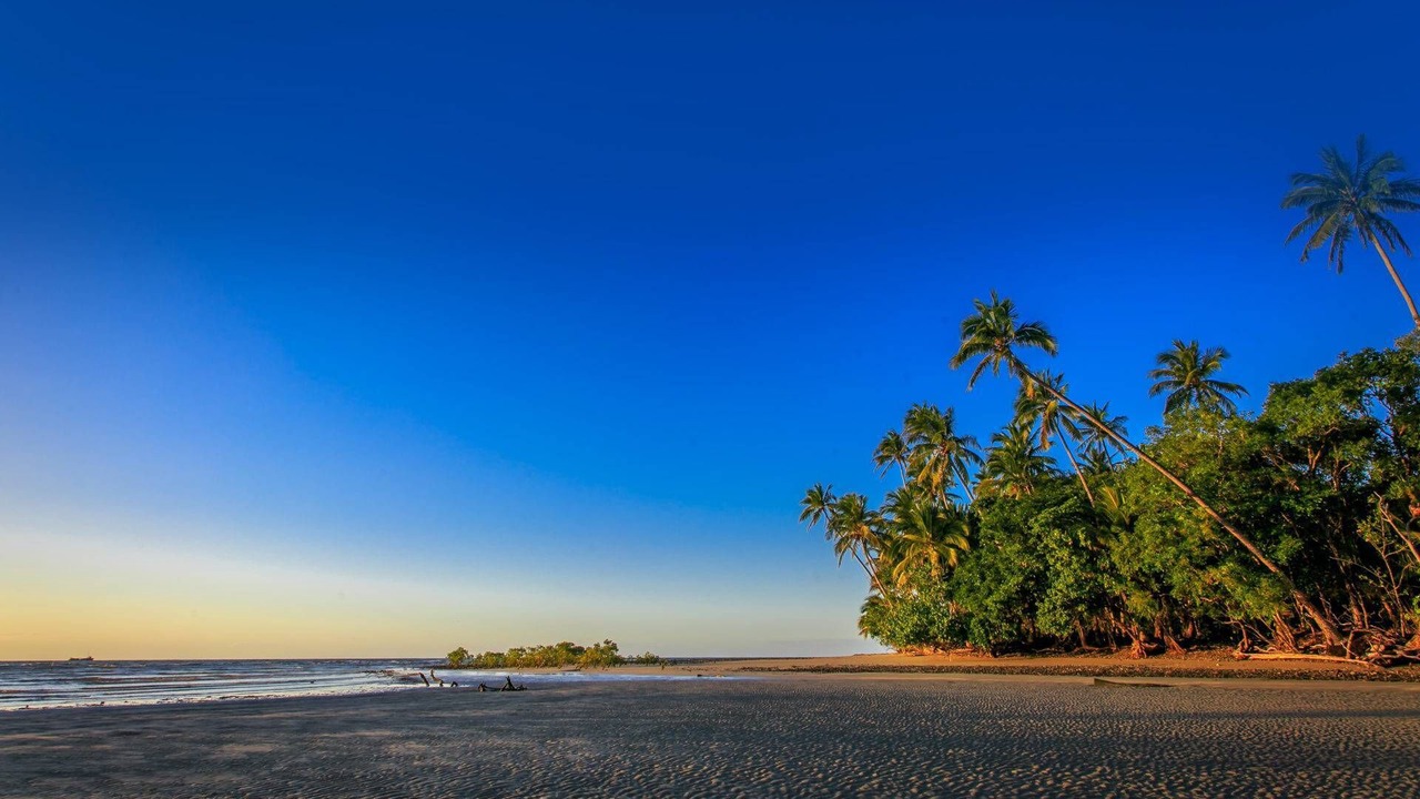 Photo of Others in Cape Tribulation
