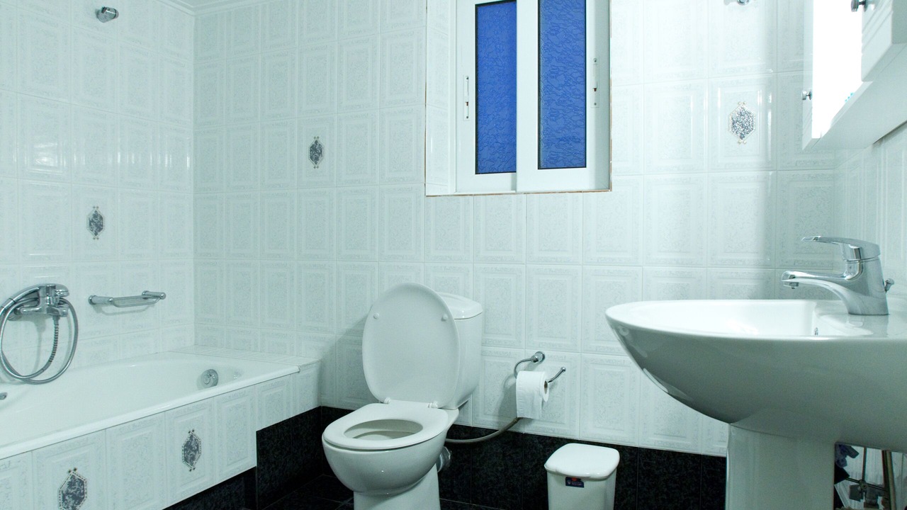 Photo of Bathroom in Levidhion