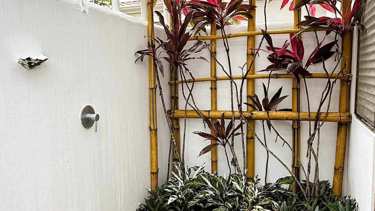 Photo of Outdoor in Puerto Carrillo