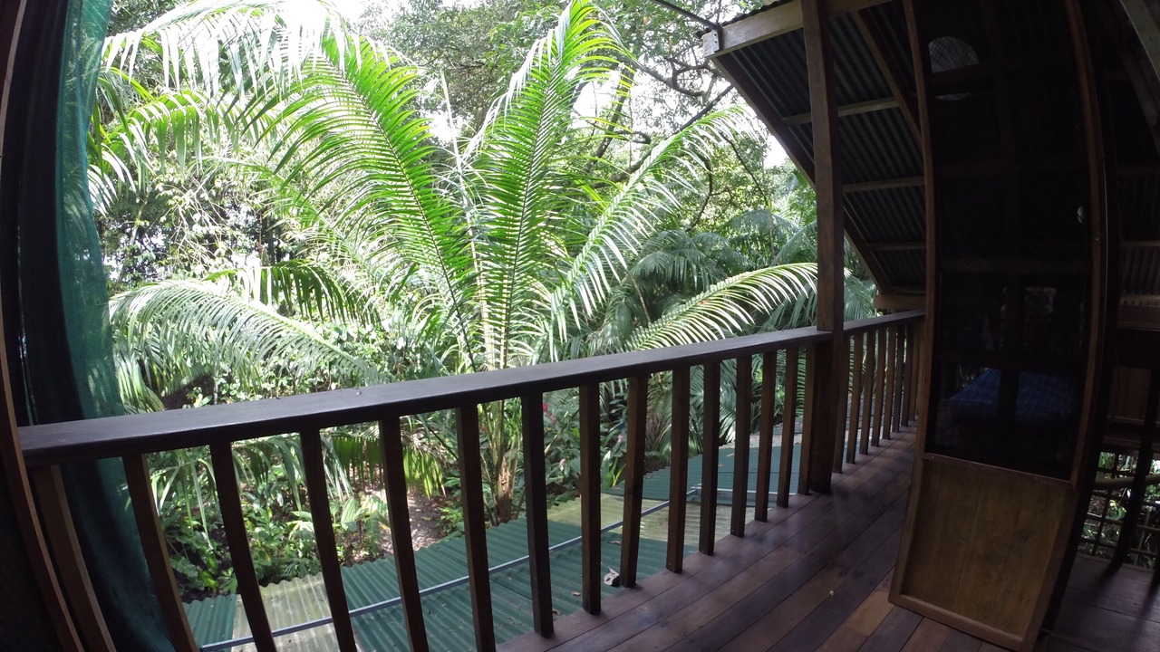 Photo of Bedroom in Drake Bay
