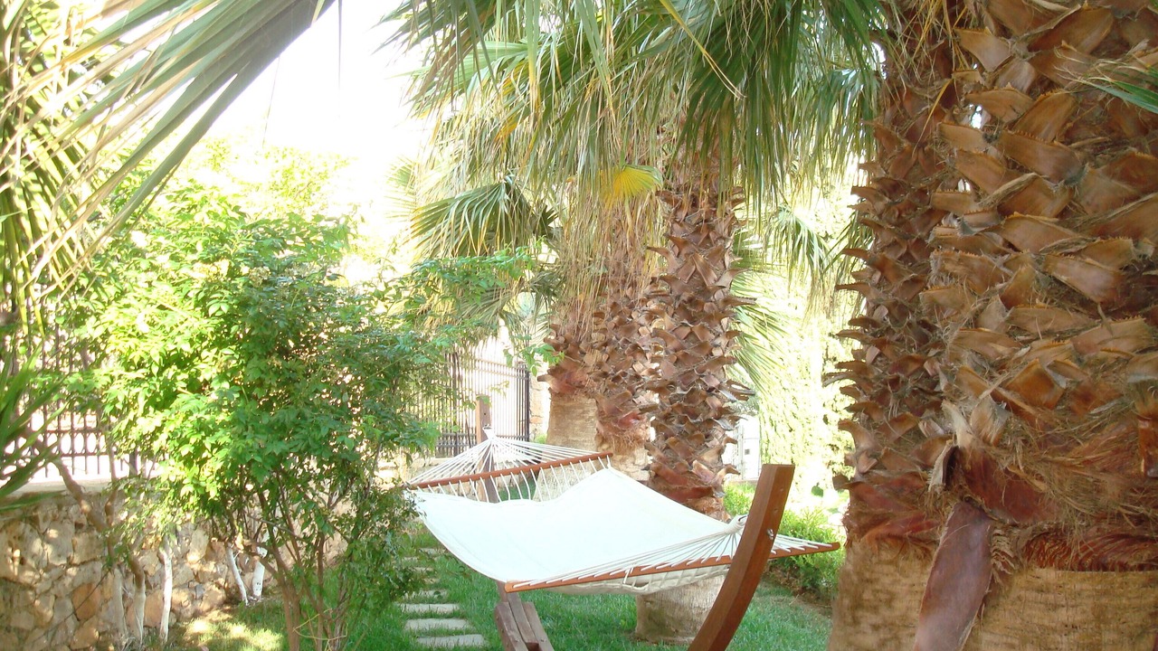 Photo of Outdoor in Theologos