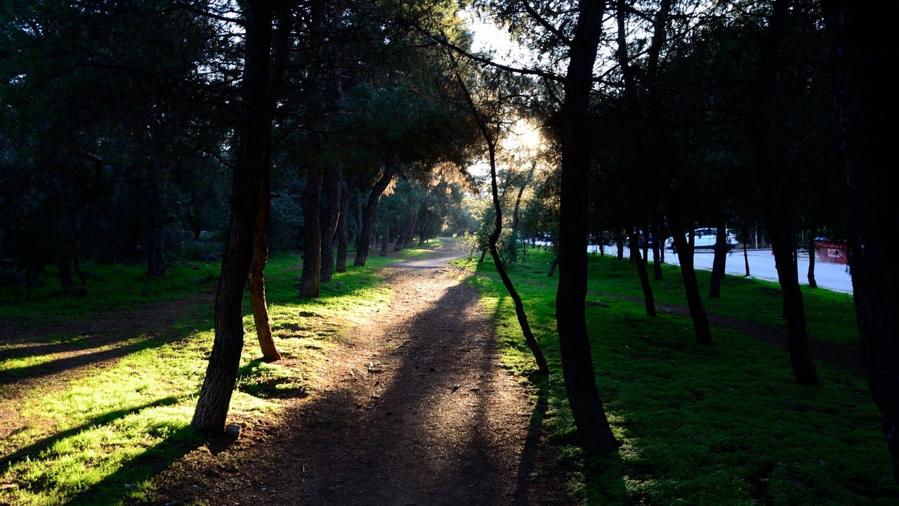 Photo of Outdoor in Papagou-Holargos
