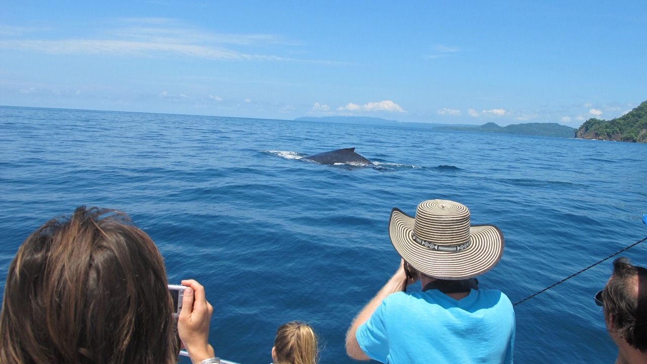 Photo of Others in Montezuma