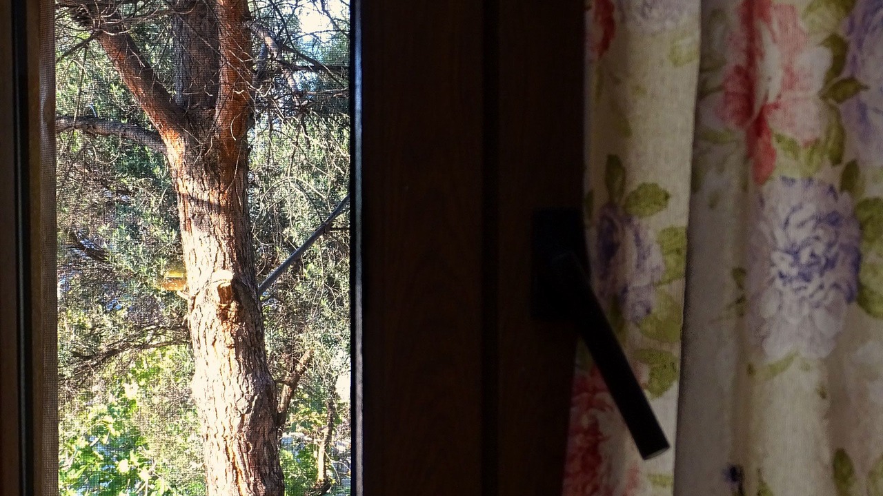 Photo of Bedroom in Limeni