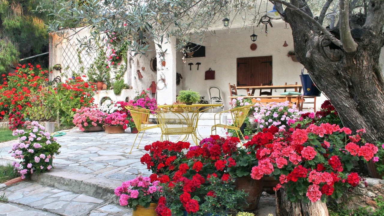 Photo of Outdoor in Katakali