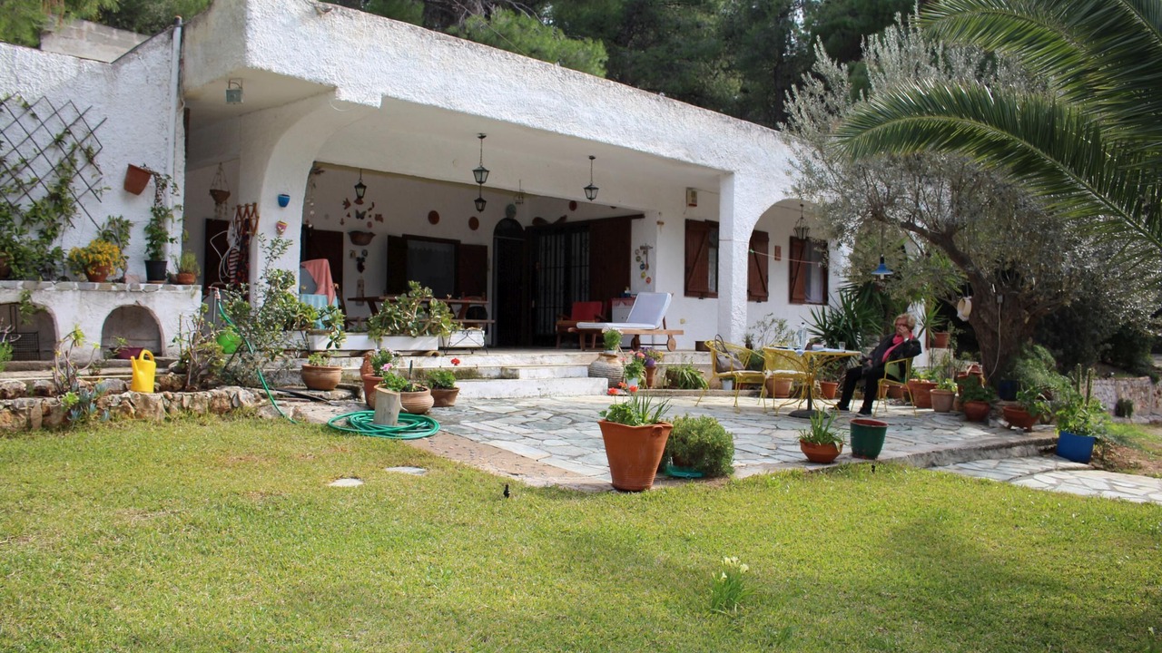 Photo of Others in Katakali