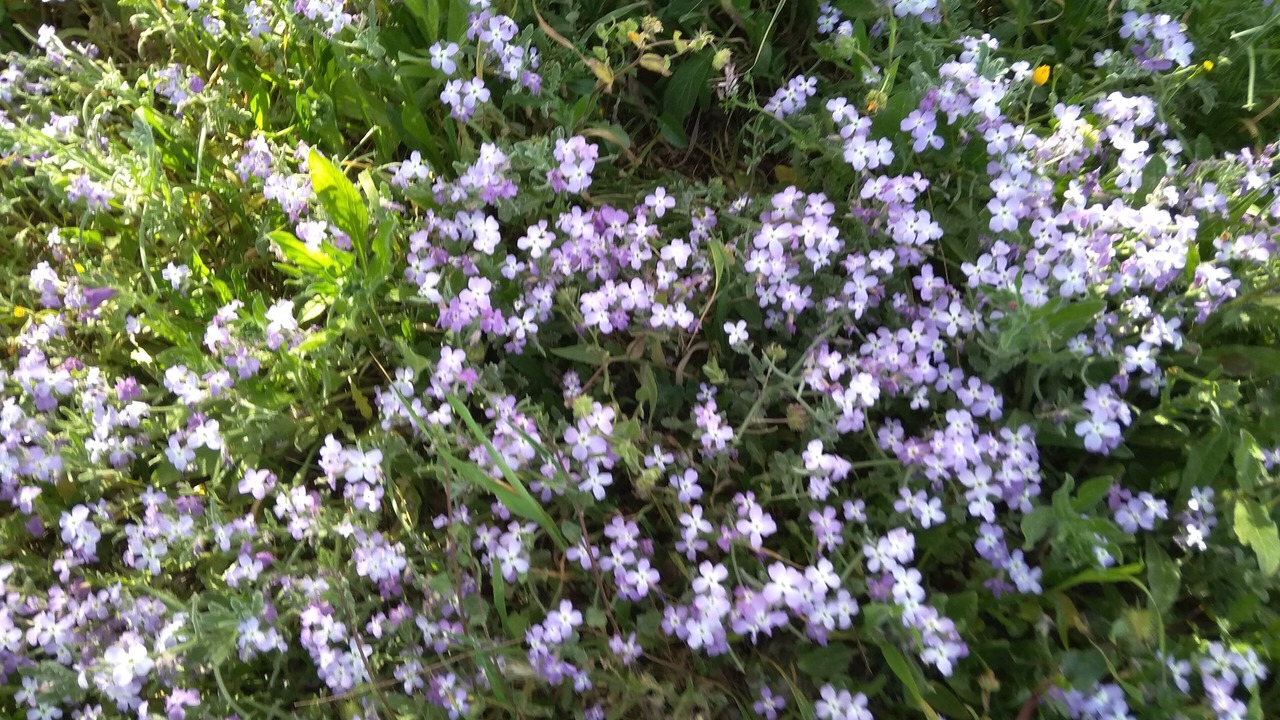 Photo of Outdoor in Vrahati