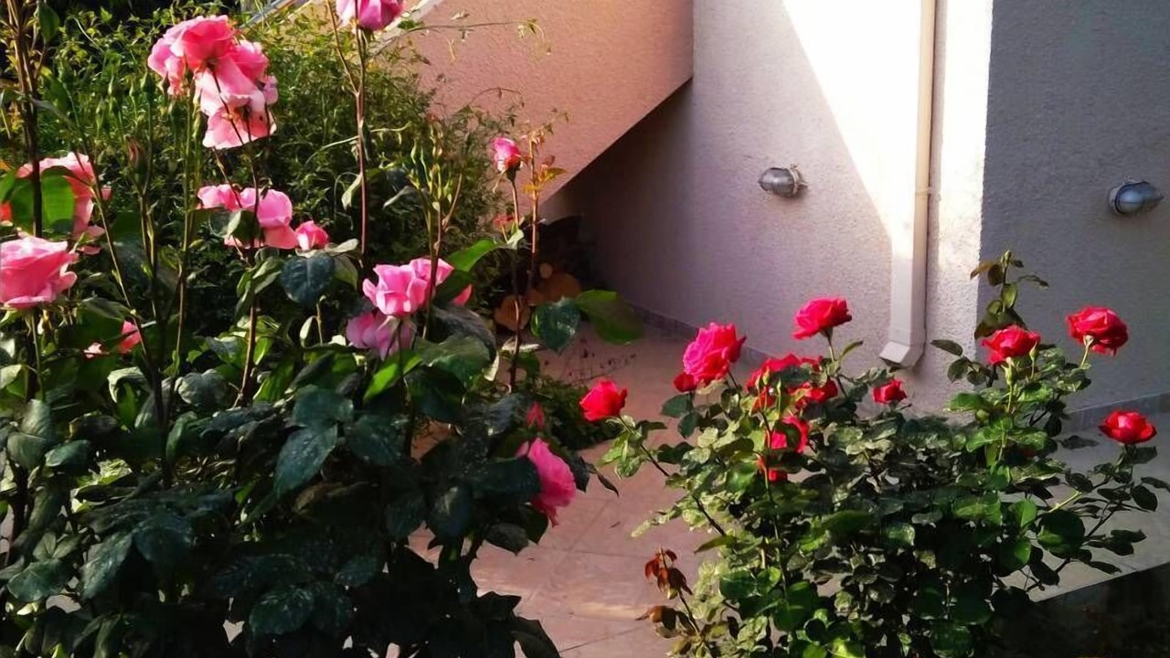 Photo of Outdoor in Vrahati