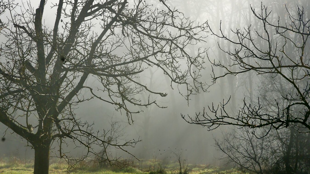 Photo of Outdoor in Kertezi