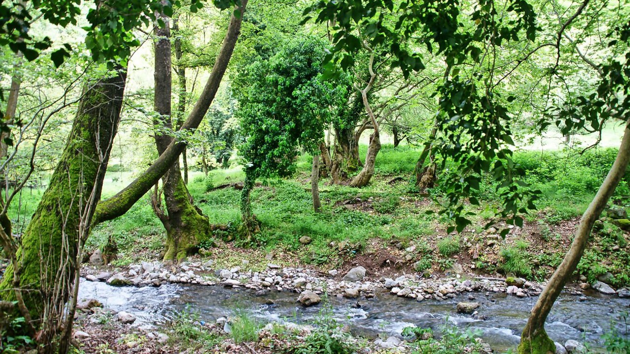 Photo of Outdoor in Kertezi