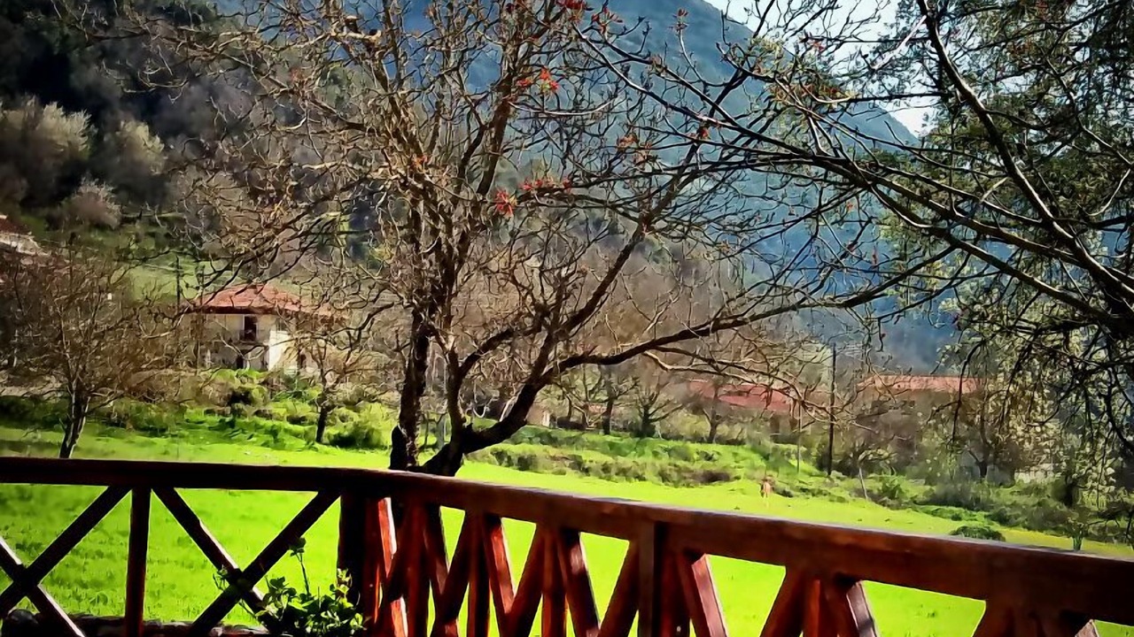 Photo of Outdoor in Kertezi