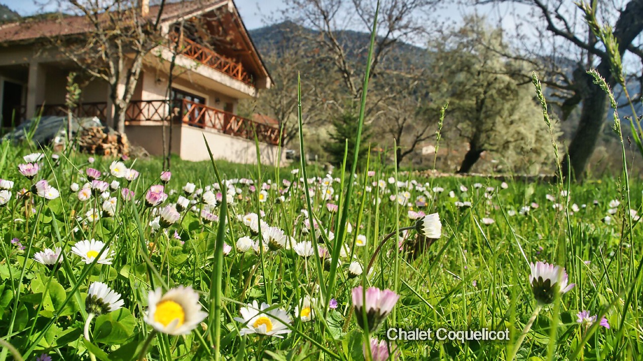 Photo of Outdoor in Kertezi