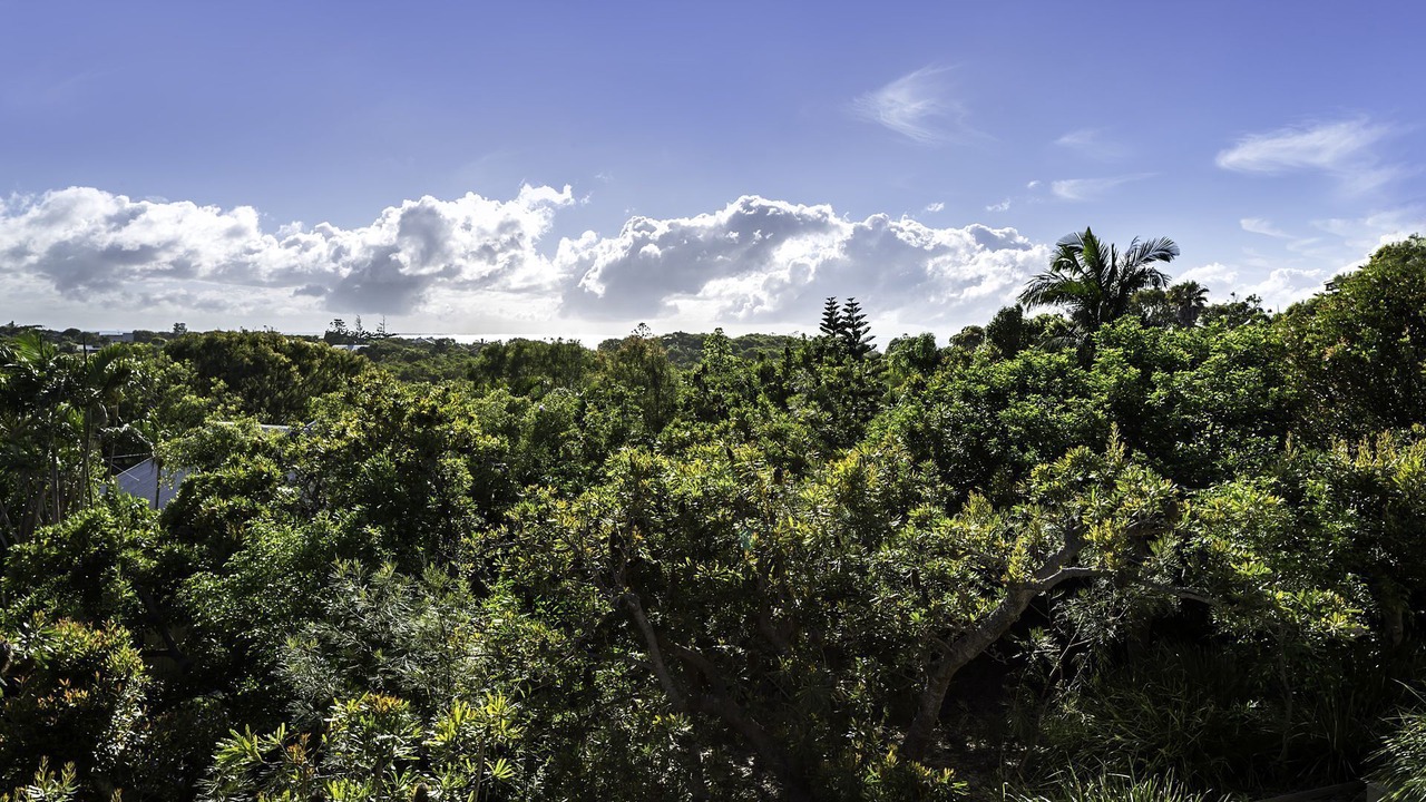 Photo of Outdoor in Peregian Beach