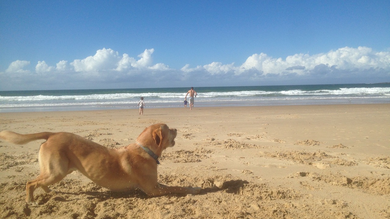 Photo of Others in Mudjimba