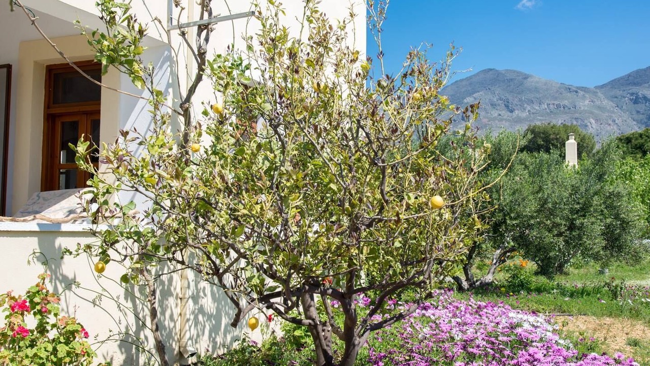 Photo of Outdoor in Frangokastellon