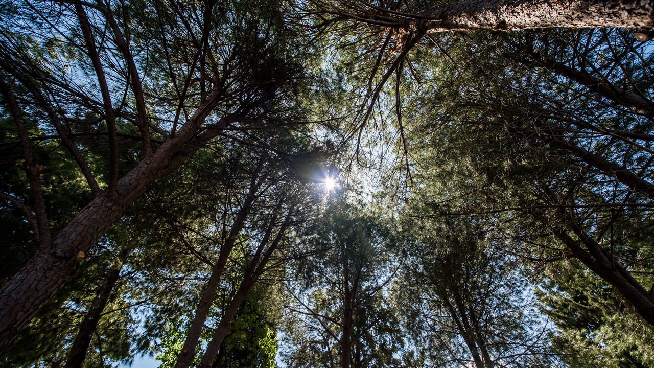 Photo of Outdoor in Selianitika