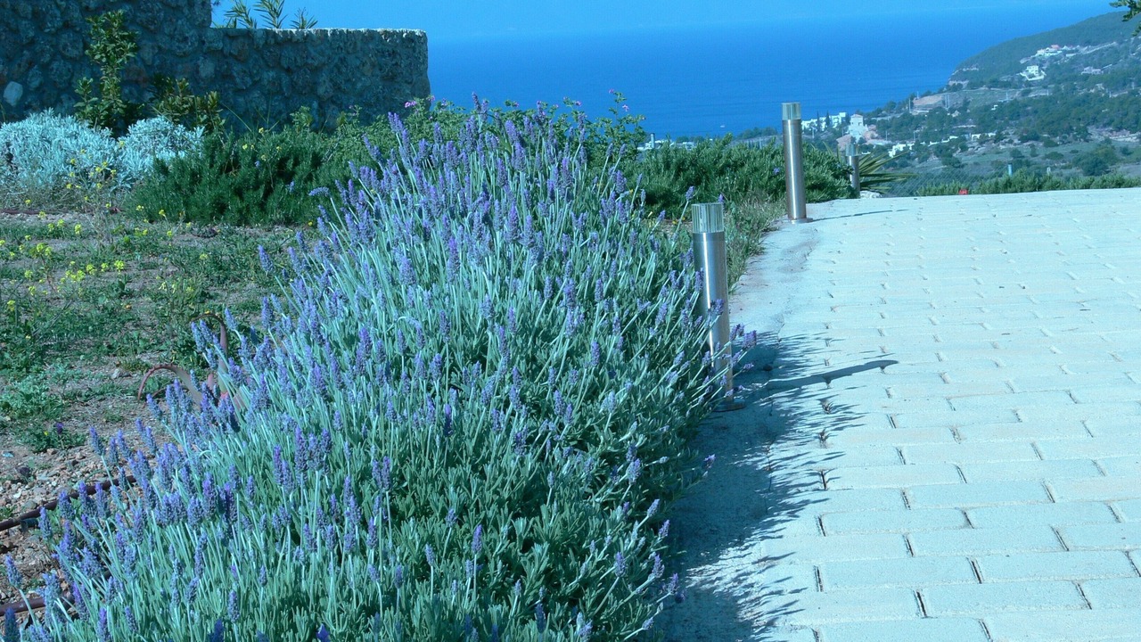 Photo of Outdoor in Kilada