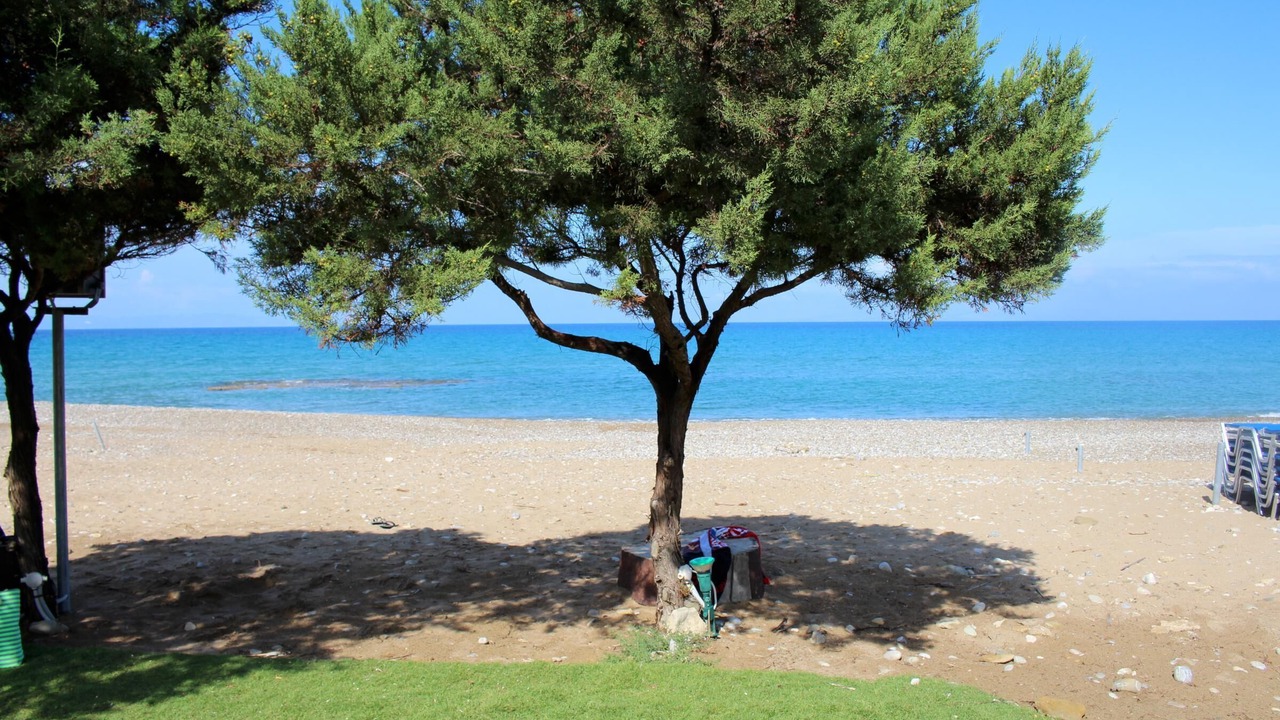 Photo of Others in Andravida-Kyllini