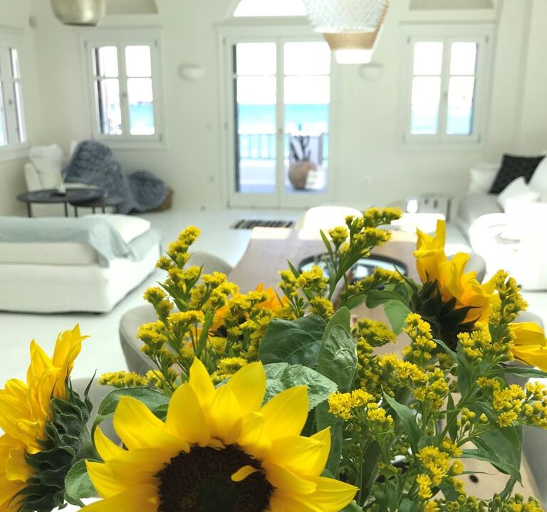Photo of Others in Mykonos