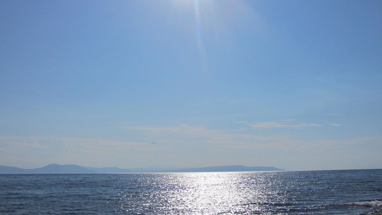Photo of Others in Paradise Beach