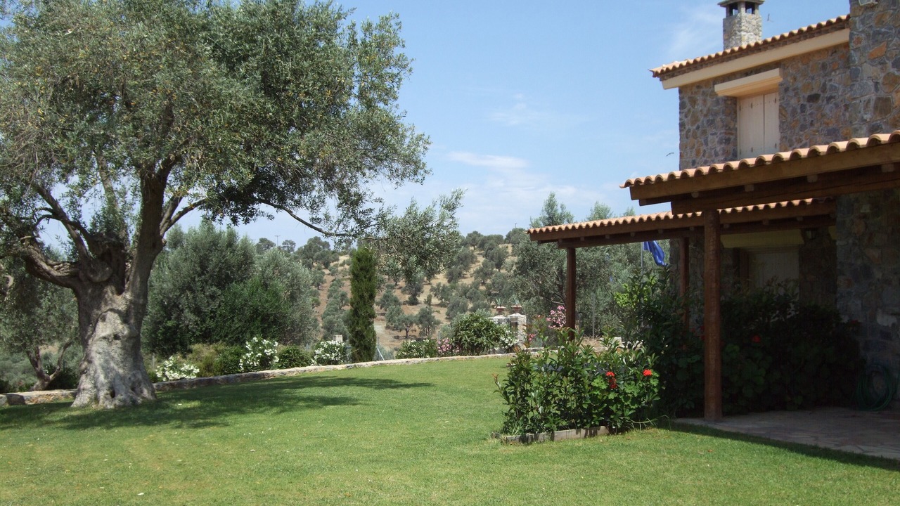 Photo of Outdoor in Paradise Beach
