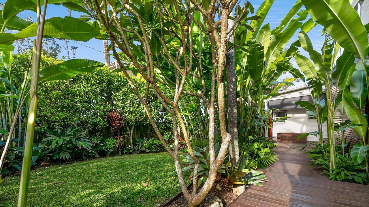 Photo of Outdoor in Sunshine Beach