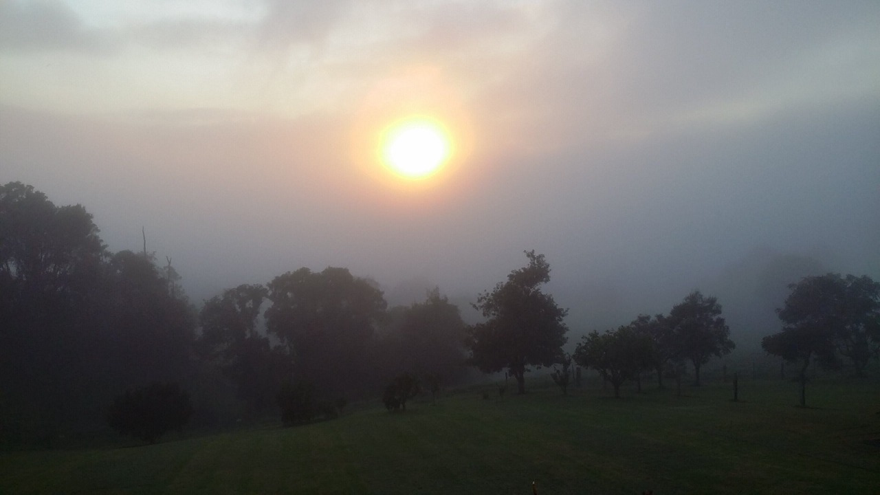 Photo of Outdoor in Witta