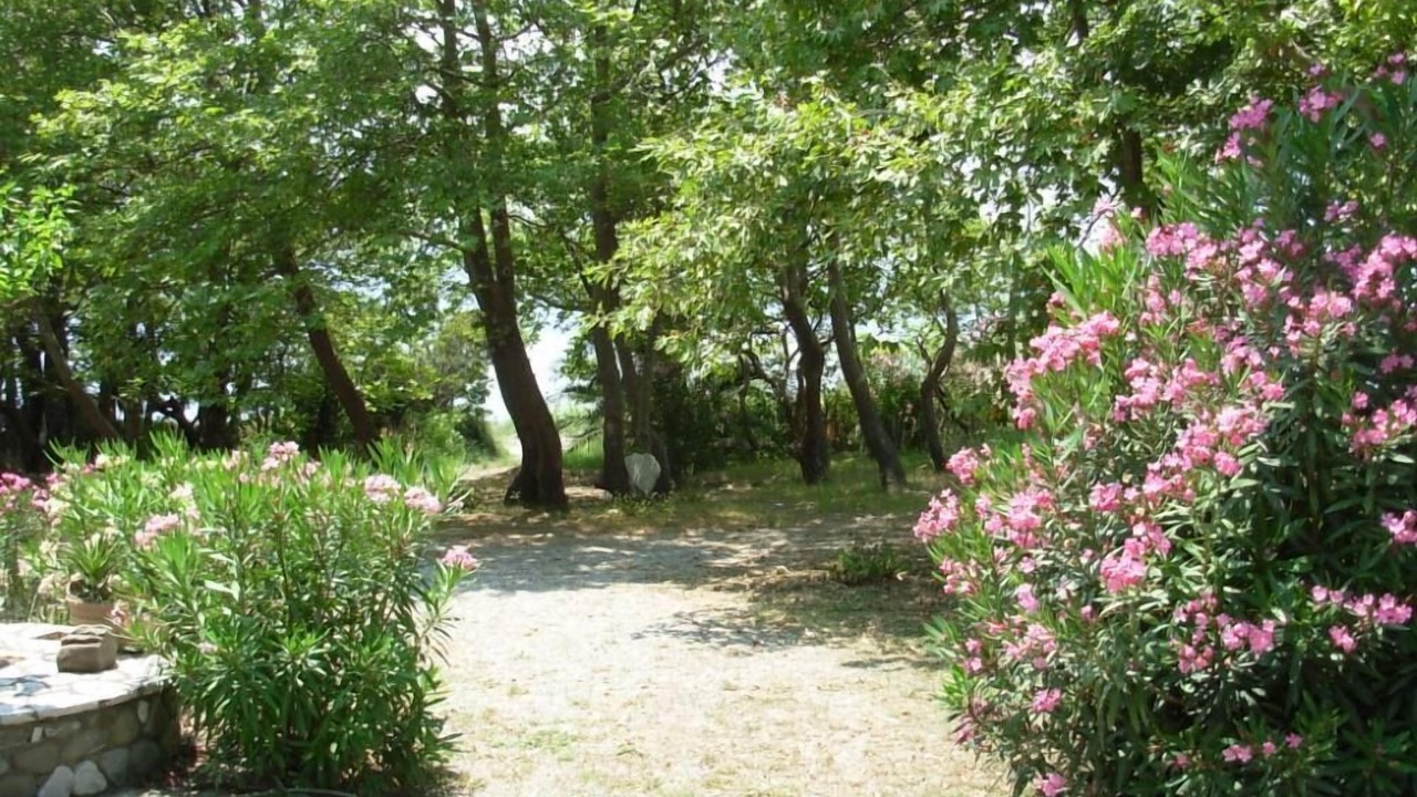 Photo of Outdoor in Marathias