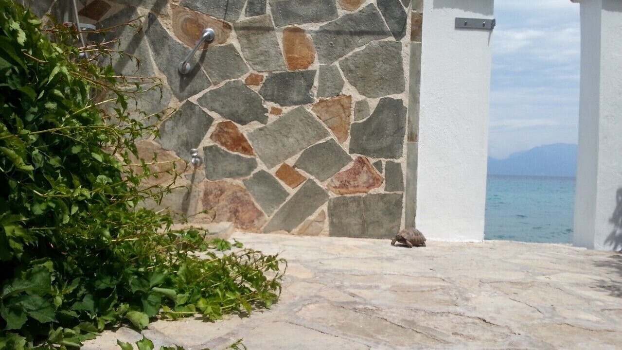 Photo of Outdoor in Nerantza