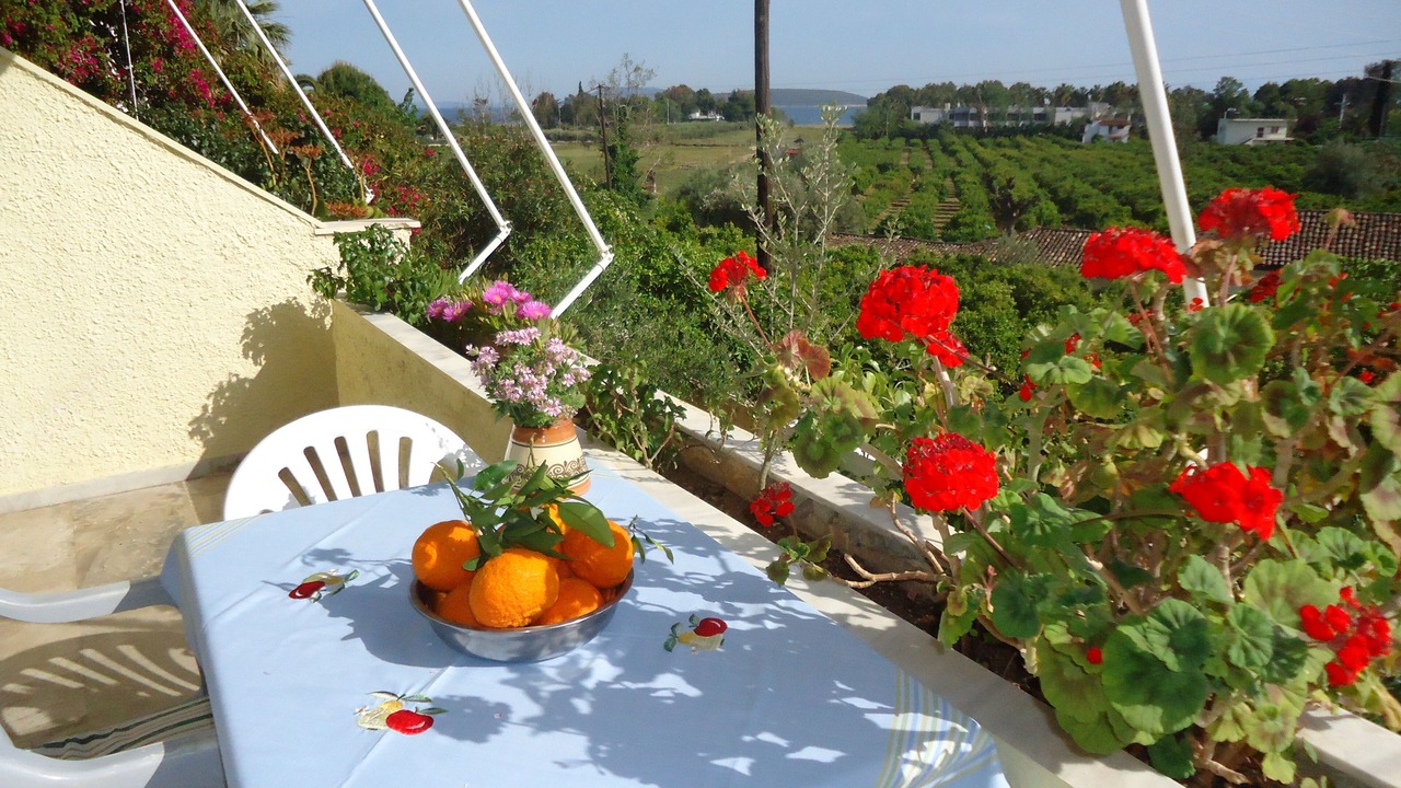 Photo of Outdoor in Drepano